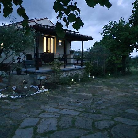 Apartma Vista Baredi Izola Kültér fotó