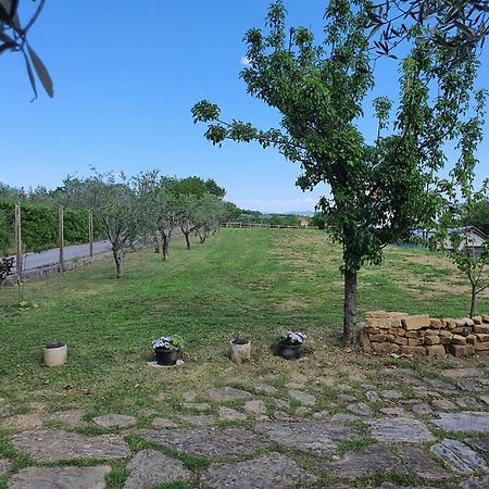Apartma Vista Baredi Izola Kültér fotó