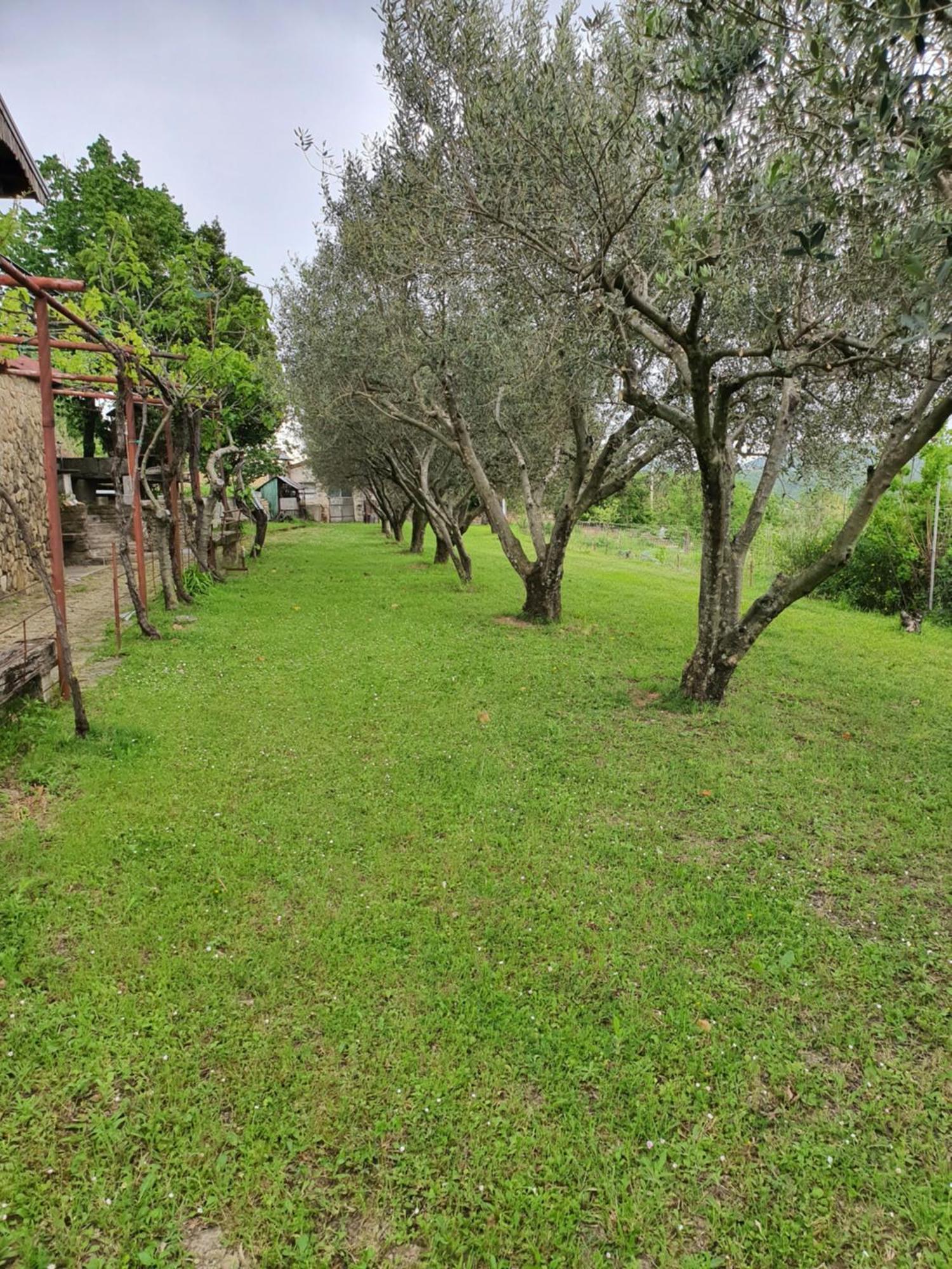 Apartma Vista Baredi Izola Kültér fotó
