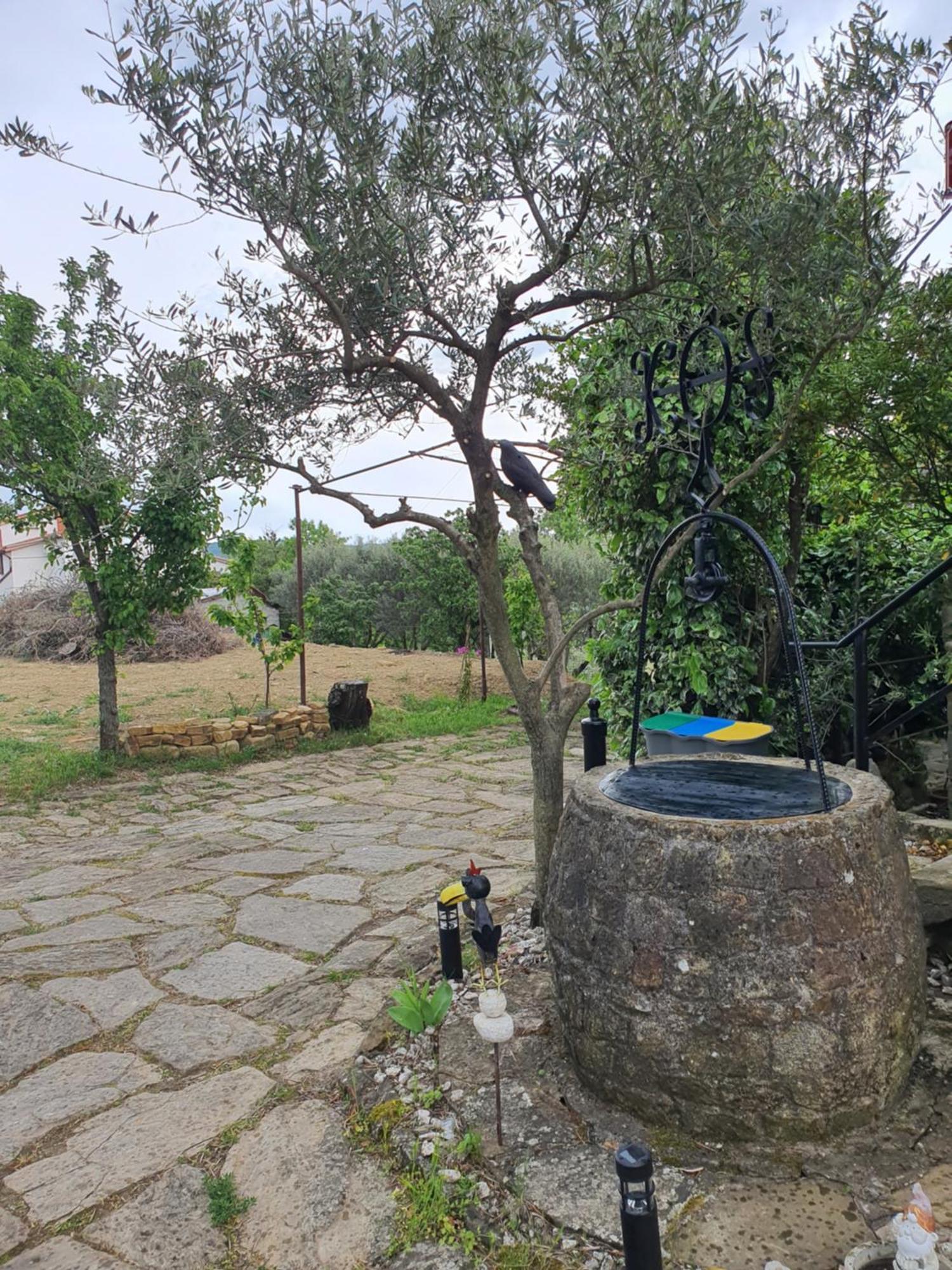 Apartma Vista Baredi Izola Kültér fotó