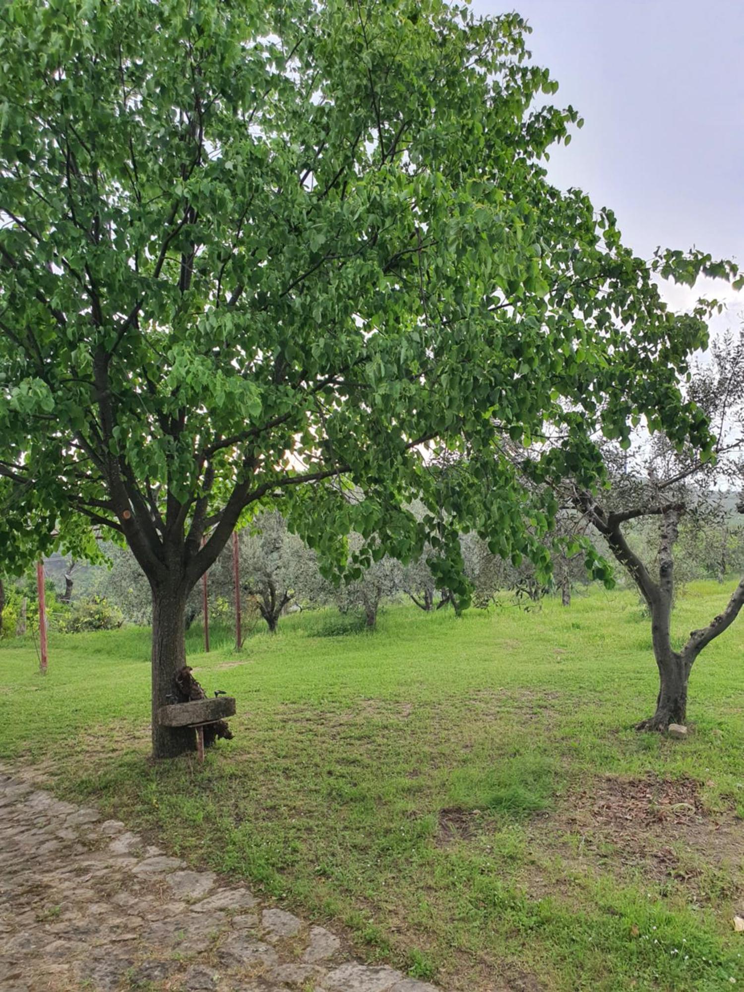 Apartma Vista Baredi Izola Kültér fotó