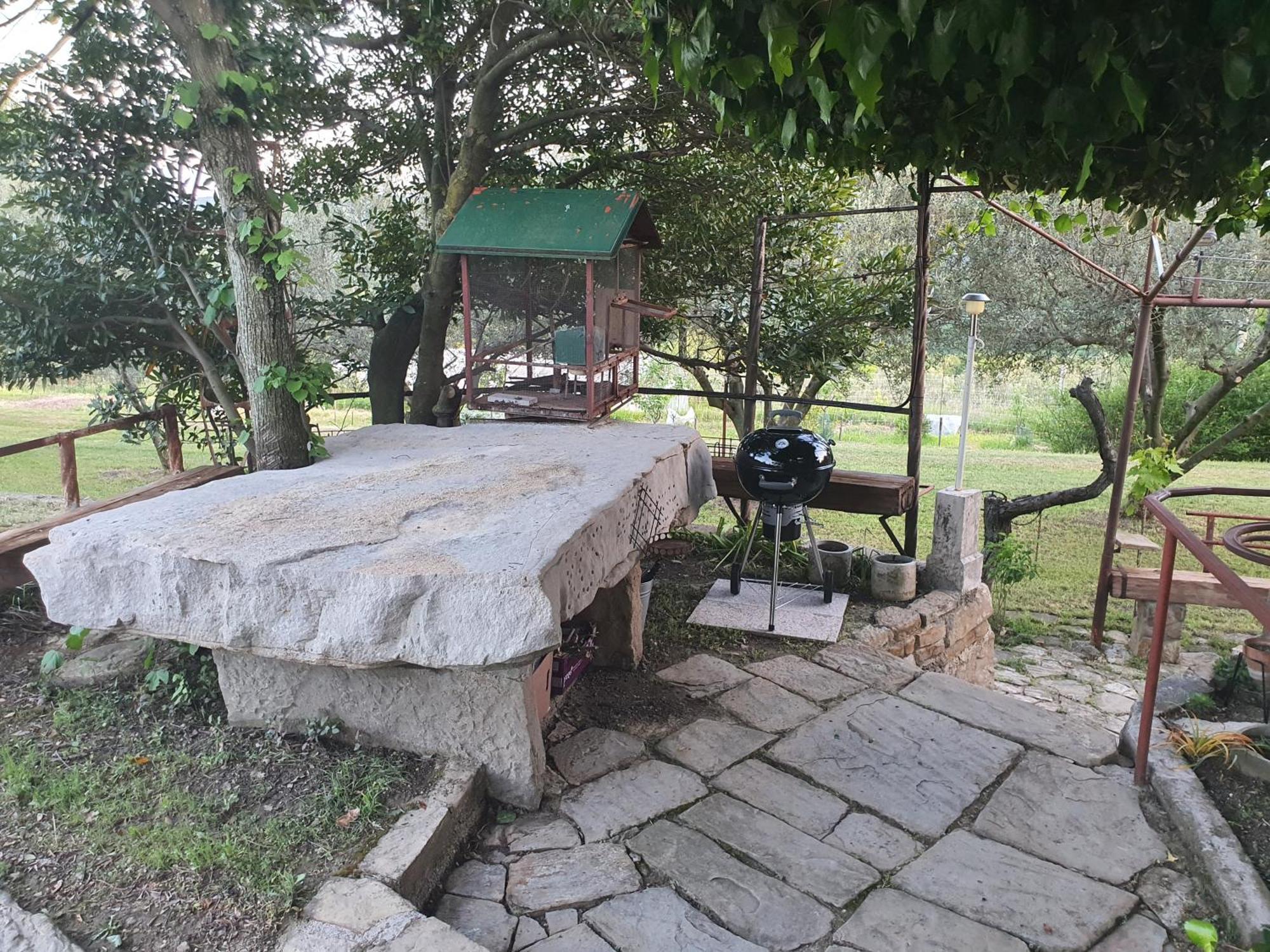 Apartma Vista Baredi Izola Kültér fotó