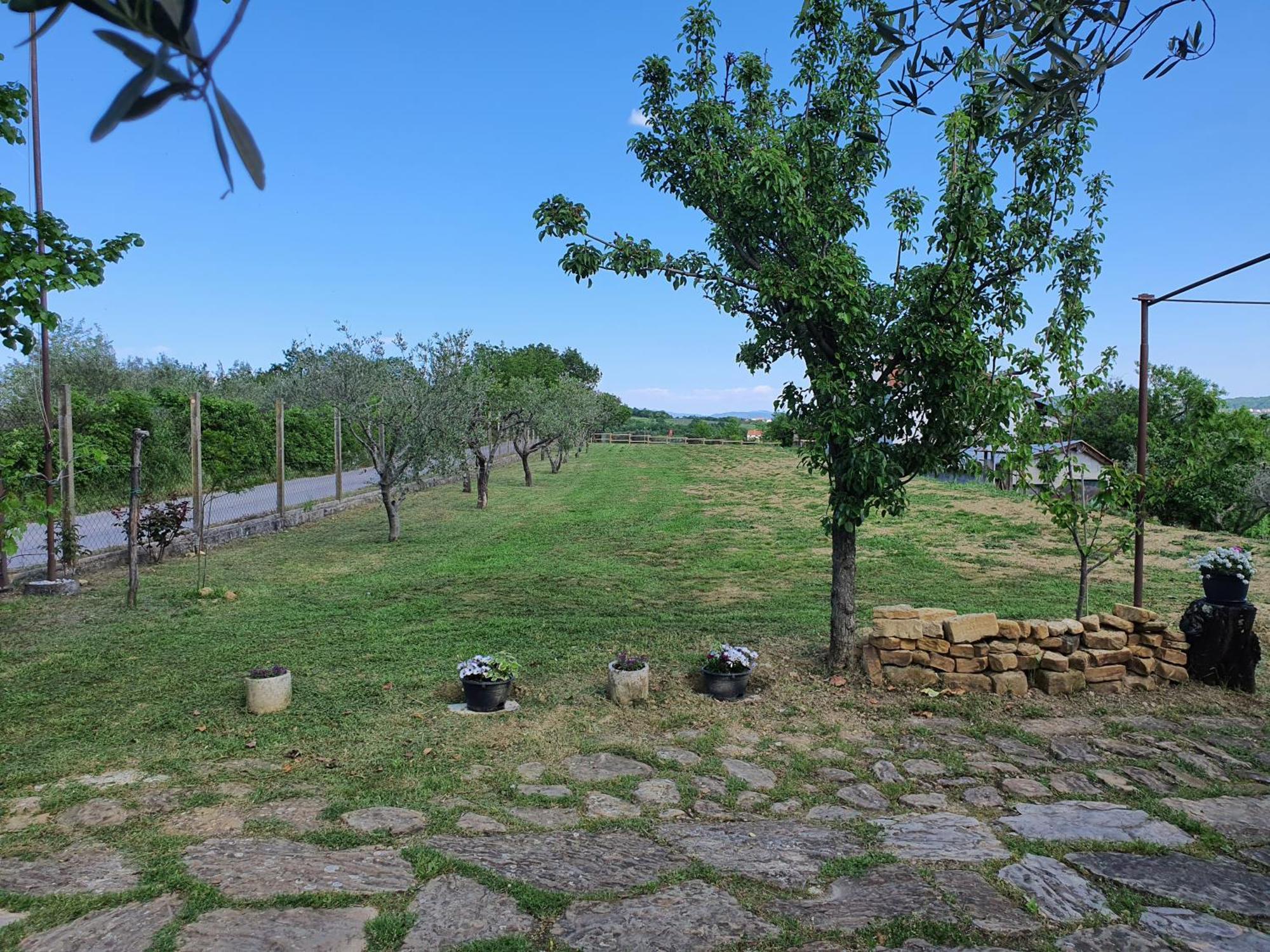 Apartma Vista Baredi Izola Kültér fotó